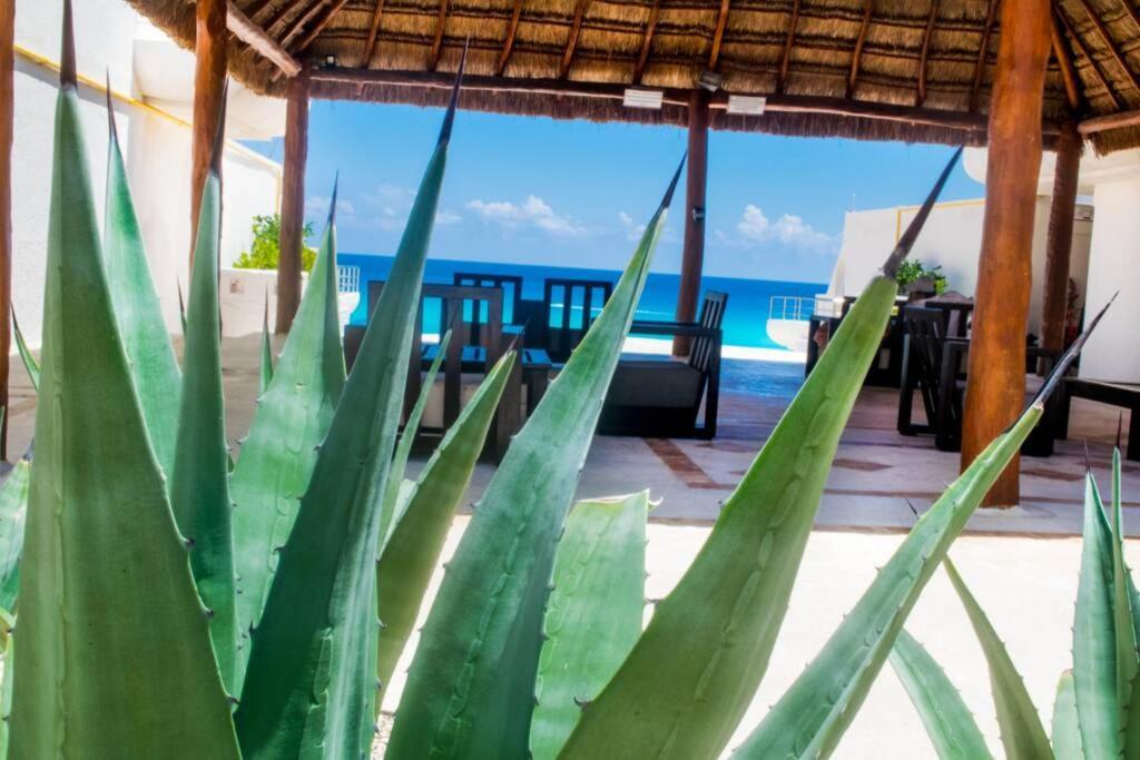 Marlin 108, A Pie De Playa, Albercas, Jacuzi, Ubicacion Inmejorable * Cancún